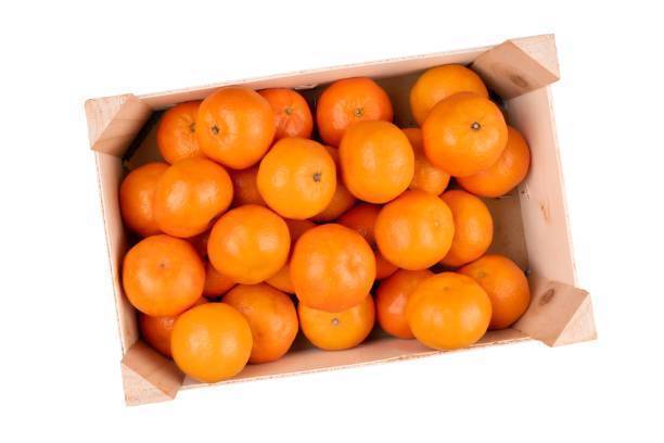 Grocery :: Dairy, Fresh & Frozen :: Fruits & Vegetables :: Mandarina Mandarin  Orange Fresh Fruit Mandarins From Argentina, 1 kg / 2.2 lb bag