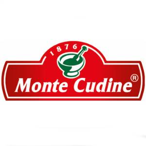 Monte Cudine