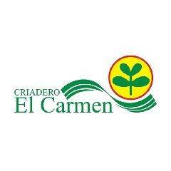 El Carmen SA